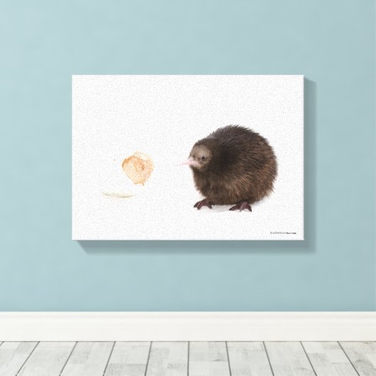 Baby Kiwi Bird Hatched from Egg Canvas Afdruk (Insitu (Houten vloer))