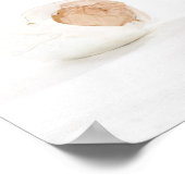 Baby Kiwi Bird Hatched from Egg Poster (Hoek)