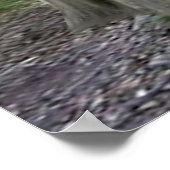 Baby Koala Beer Huggies Poster (Hoek)