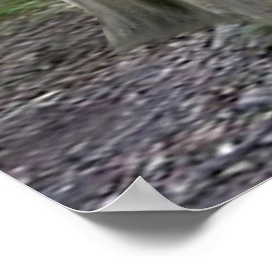 Baby Koala Beer Huggies Poster (Hoek)