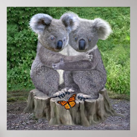 Baby Koala Beer Knuffels Poster (Voorkant)