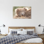 Baby Koala Canvas Afdruk (Insitu (Slaapkamer))