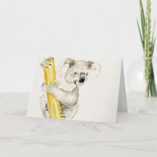 Baby Koala   Cute & Furry Kaart
