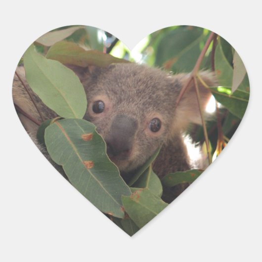 Baby Koala Hart Sticker (Voorkant)