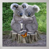 BABY KOALA HUGGIES POSTER (Voorkant)