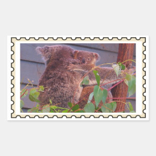 Baby koala Neppostzegel Rechthoekige Sticker