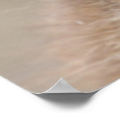 Baby Koala Poster (Hoek)