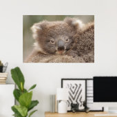 Baby Koala Poster (Thuiskantoor)