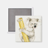Baby Koala | Schuine en gier Magneet (Voorkant / Achterkant)