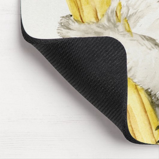 Baby Koala | Schuine en gier Muismat (Hoek)