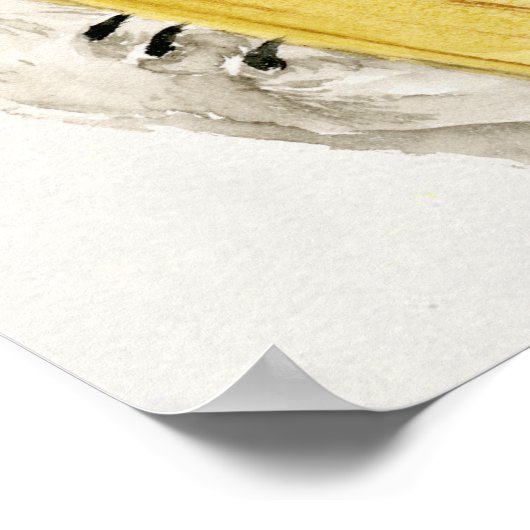 Baby Koala | Schuine en gier Poster (Hoek)