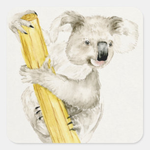 Baby Koala Schuine en gier Vierkante Sticker