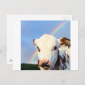 Baby Koe Briefkaart (Voorkant / Achterkant)