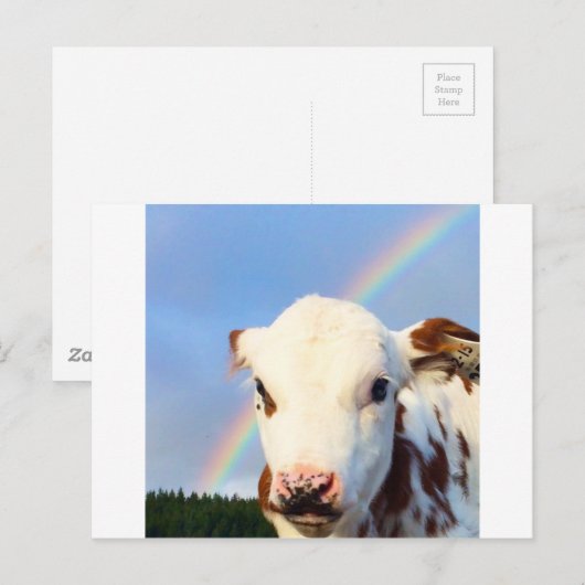 Baby Koe Briefkaart (Voorkant / Achterkant)