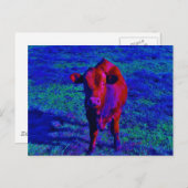 Baby Koe Paarse gras Briefkaart (Voorkant / Achterkant)