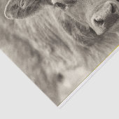  Baby Koe plakpapier Tissuepapier (Detail)