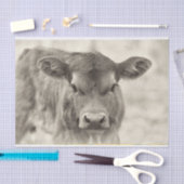  Baby Koe plakpapier Tissuepapier (Craft)