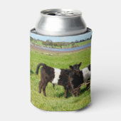 Baby Koeien van de Galloway in country, Blikjeskoeler (Blikje Voorkant)
