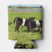 Baby Koeien van de Galloway in country, Blikjeskoeler (Achterkant)