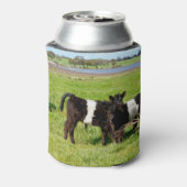 Baby Koeien van de Galloway in country, Blikjeskoeler (Blikje Achterkant)