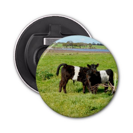 Baby Koeien van de Galloway in country, Button Flesopener (Voorkant)