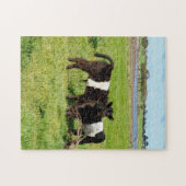 Baby Koeien van de Galloway in country, Legpuzzel (Horizontaal)