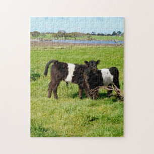 Baby Koeien van de Galloway in country, Legpuzzel