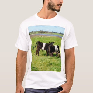 Baby Koeien van de Galloway in country, T-shirt