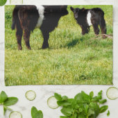 Baby Koeien van de Galloway in het land, Theedoek (Gevouwen)