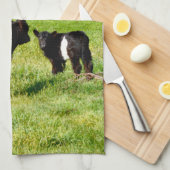 Baby Koeien van de Galloway in het land, Theedoek (Quarter Fold)