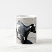 Baby Koffiemok (Center)