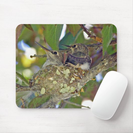Baby kolibrie - Mousepad Muismat (Met muis)