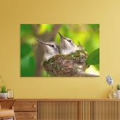 Baby kolibries canvas afdruk (Insitu (Woonkamer))