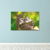 Baby kolibries canvas afdruk (Insitu (Houten vloer))