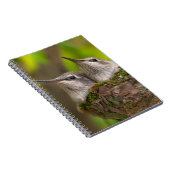 Baby kolibries notitieboek (Rechterzijde)