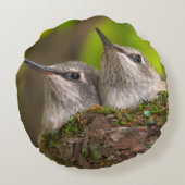 Baby kolibries rond kussen (Achterkant)