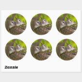 Baby kolibries ronde sticker (Vel)