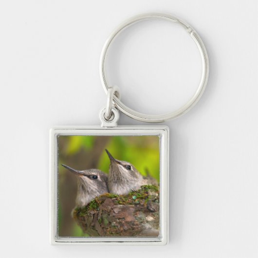 Baby kolibries sleutelhanger (Voorkant)