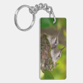 Baby kolibries sleutelhanger (Voorkant Links)