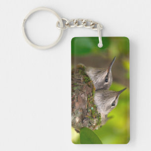 Baby kolibries sleutelhanger