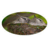 Baby kolibries snijplank (Hoek)