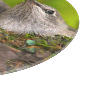 Baby kolibries snijplank (Hoek)