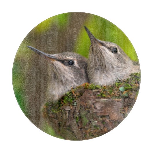 Baby kolibries snijplank (Voorkant)