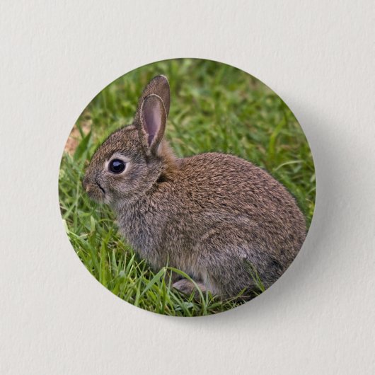 Baby Konijn Badge Ronde Button 5,7 Cm (Voorkant)