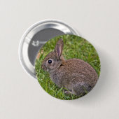 Baby Konijn Badge Ronde Button 5,7 Cm (Voorkant /achterkant)
