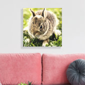 Baby konijn canvas afdruk (Insitu (Woonkamer))