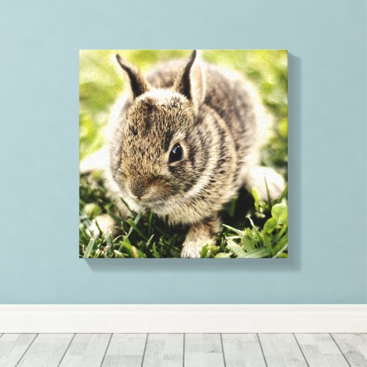 Baby konijn canvas afdruk (Insitu (Houten vloer))