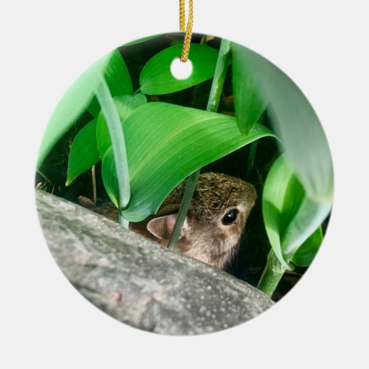 Baby Konijn Keramisch Ornament (Voorkant)
