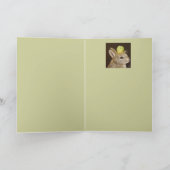 baby konijn met pet uit Brussel Kaart (Binnen)