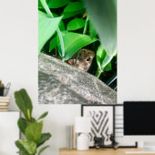 Baby konijn poster (Thuiskantoor)